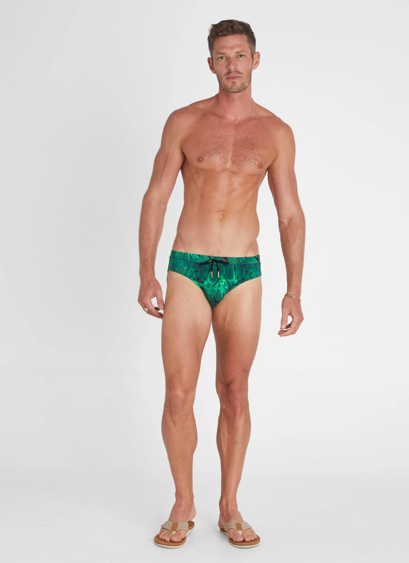 Hummingbird Racer Briefs - Image 4