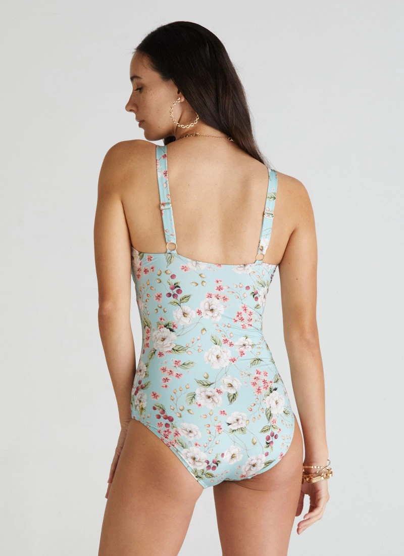 Primrose Michelle DD/E Cup One Piece - Image 3